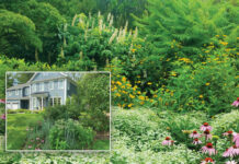 McCoy Horticultural Sustainability