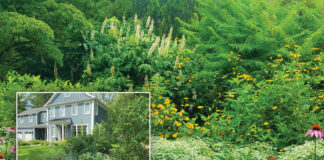 McCoy Horticultural Sustainability