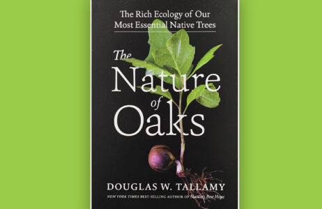 Planting Oaks