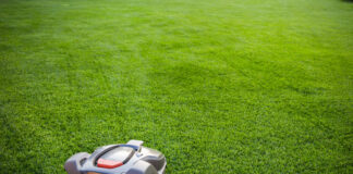 robotic mowers