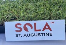 Sola