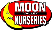 Moon Valley