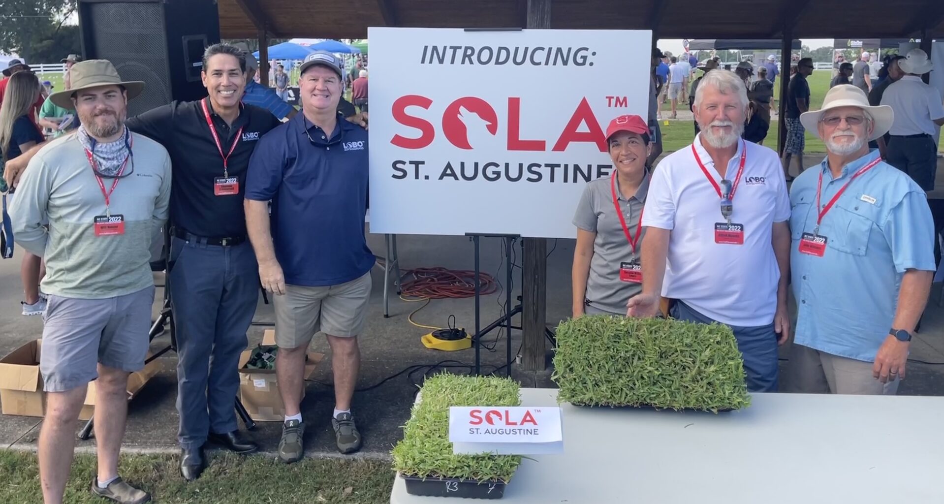 Sola