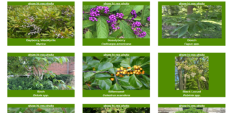 Purdue Plant Doctor