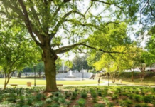 Hunt Park