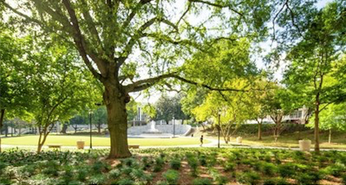 Hurt Park