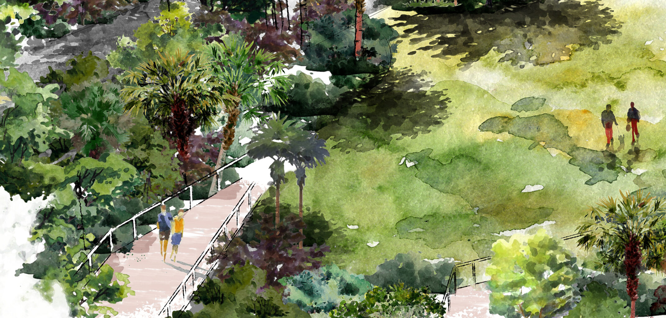 Native Plants