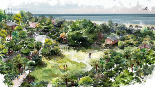 native plants