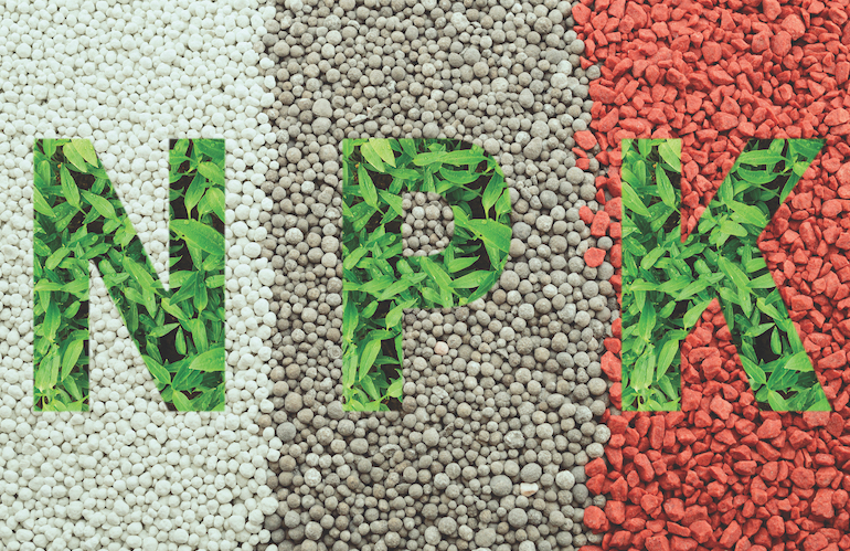 fertilizer selection
