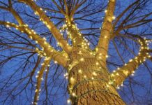 Christmas lights