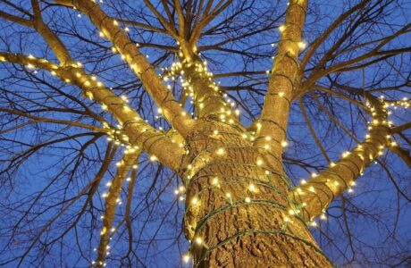 Christmas lights