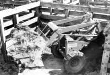 Bobcat NIHF