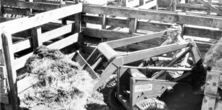 Bobcat NIHF