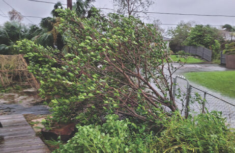 Storm cleanup