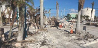 Storm cleanup