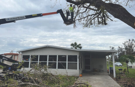 Storm cleanup