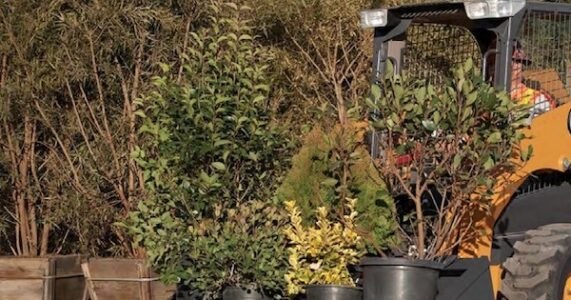 Lawn Care And Landscaping Industry News
