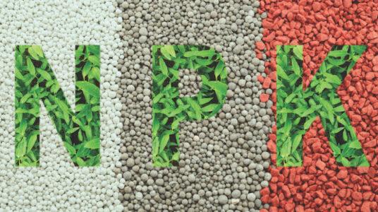 Lawn Care And Landscaping Industry News