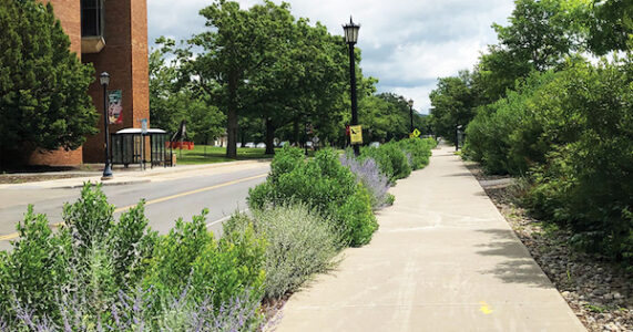 Lawn Care And Landscaping Industry News