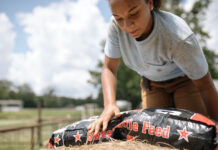 Carhartt women trades