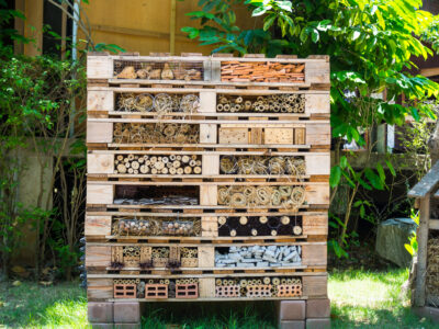 bug hotel