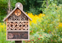 bug hotel