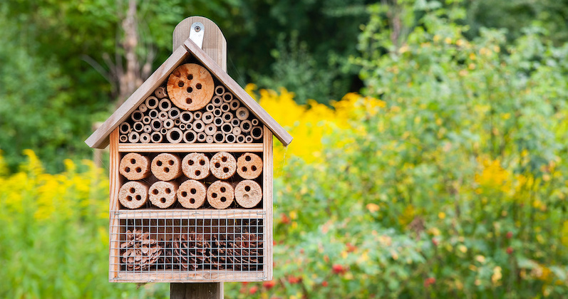 bee hotel