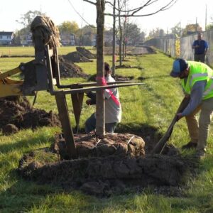 Recent Industry News