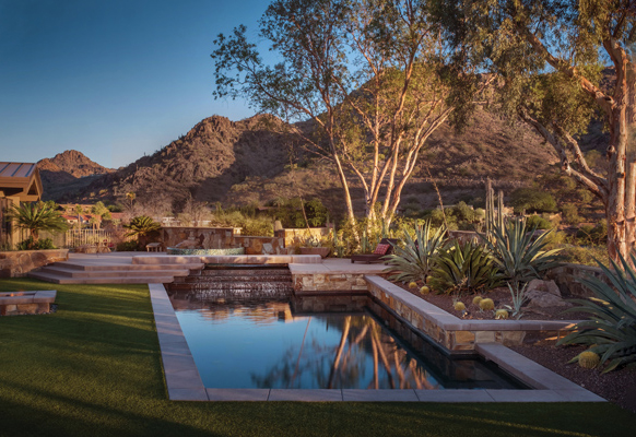 Pool Landscape