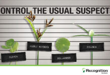 Syngenta Recognition