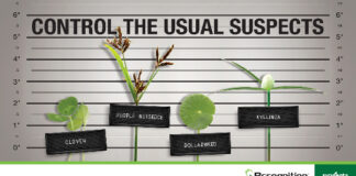Syngenta Recognition