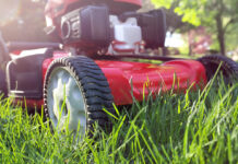 No Mow May