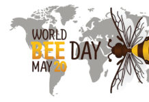 World Bee Day