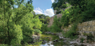 Dell Seton Ascension Health District at The University of Texas at Austin