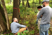 Arborjet Cornell