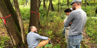 Arborjet Cornell