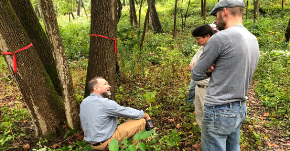 Arborjet Cornell
