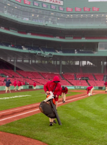 STIHL Fenway