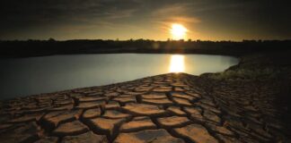 water conservation California