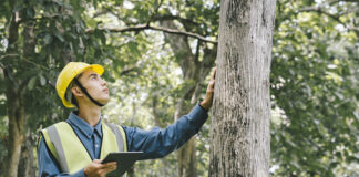 Trees + Tech