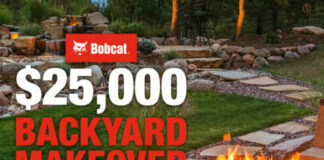 Backyard Makeover