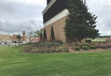 Landscape Damage For Insurance Claims