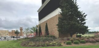Landscape Damage For Insurance Claims