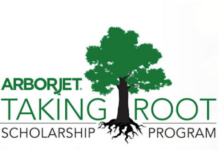 Taking Root