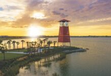 Resilient Landscapes