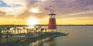 Resilient Landscapes