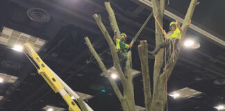 Bartlett Tree Experts