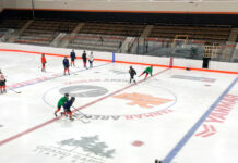 Yanmar Arena Grand Rapids