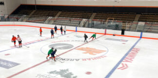 Yanmar Arena Grand Rapids