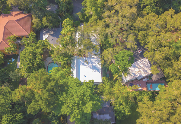 House Around A Tree